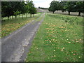 SK3199 : Footpath through Wortley Park by Chris Wimbush