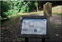SU8935 : The sailor's stone and Information board, Hindhead Common by N Chadwick