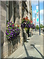 Floral display on Tay Street, Perth