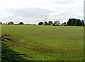 Looking towards the B4245 from Ifton Hill