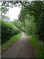 Bashley, footpath & cycleway