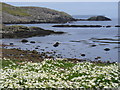 Shoreline at East Voe of Quarff