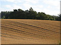 Farmland west of Wood Hall