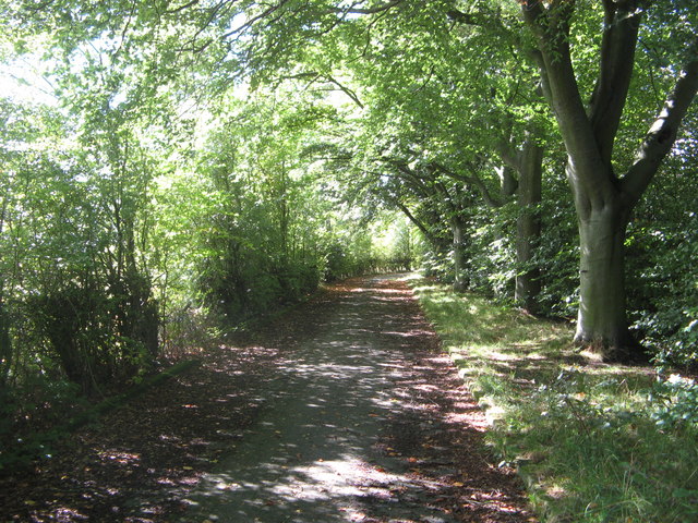 Part of the Perimeter Road at Storthes... © Stephen Armstrong cc-by-sa ...