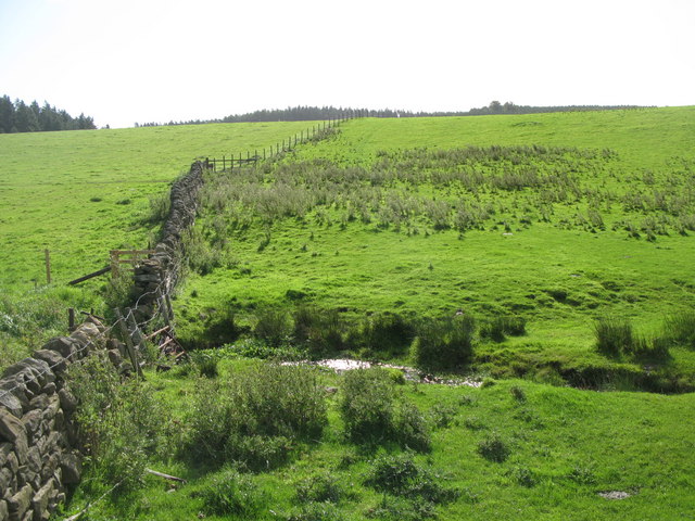 West Burn and pastures below Sandyford Rigg