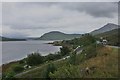 Loch Cairidh Shoreline