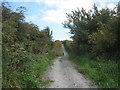 Bridleway northwest of Hart