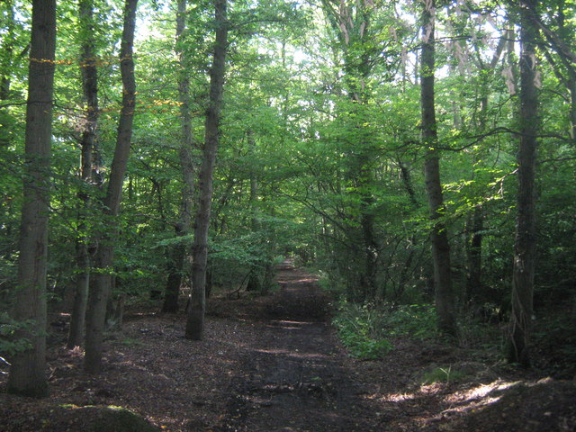 Byway in Great Turrels Wood © David Anstiss cc-by-sa/2.0 :: Geograph ...