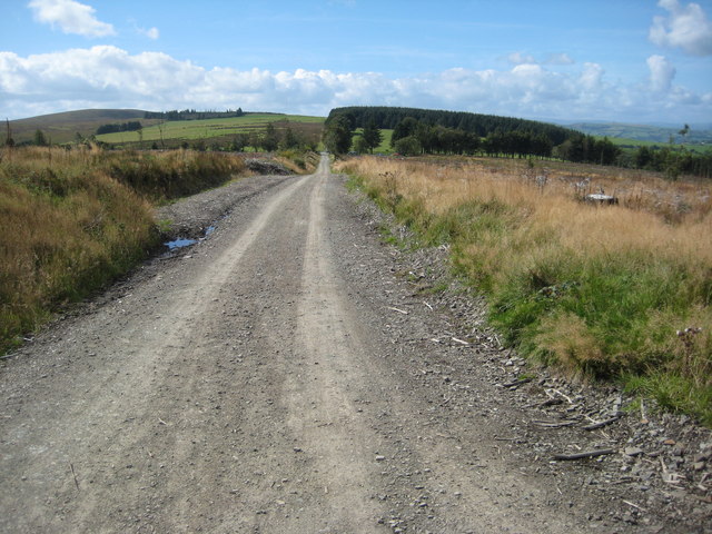 Felled Block Wood, Kerry Ridgeway © Philip Halling :: Geograph Britain ...