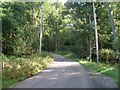 Road at the edge of Mugdock Country Park