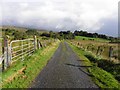 H6886 : Road at Davagh Upper by Kenneth  Allen