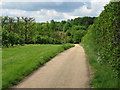 Footpath and track to Woolton Farm