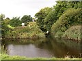 The confluence of the Shimna and Burren rivers in Islands Park