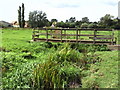 Wooden bridge over Cuttle Brook