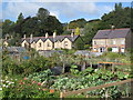 Allotments, Station Road (2)