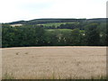 Farmland near Muirden