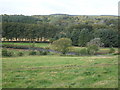 NJ6954 : Farmland near Boghead Farm towards the river Deveron by JThomas