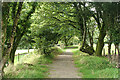 Gulworthy: near the sett of Devon United mine