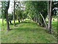 Nidd Valley Branch Railway