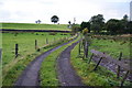 Farm track near Hollingworth Lake