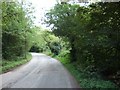 Road at Stoneycombe, looking south