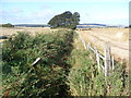 Drainage ditch near Wood of Luncarty