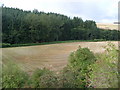 Farmland near Burn of King Edward