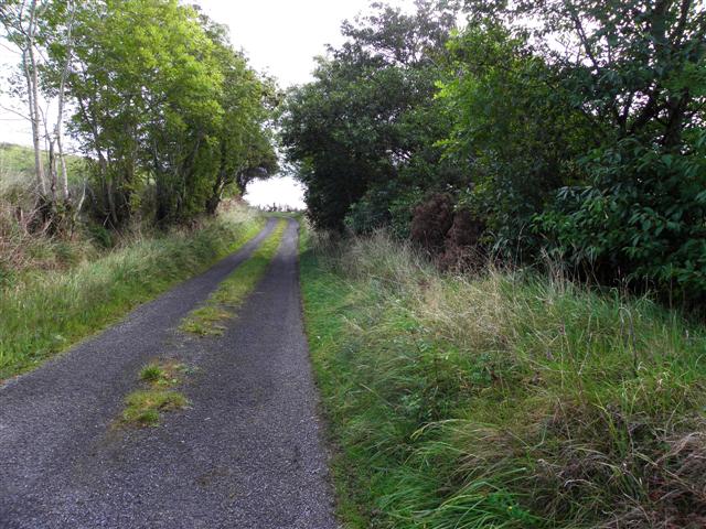 Road at Knockbane