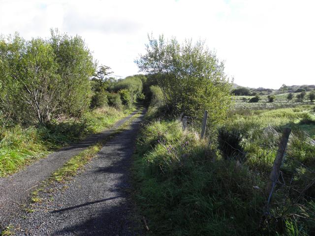 Road at Knockbane