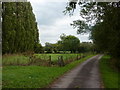 Track near Grassthorpe