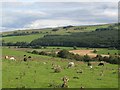 Farmland east of Woodhall (2)