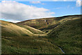 NT7908 : Upper Coquetdale by Peter McDermott