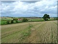 View towards Whatcote Park