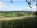 View to Wigpool Common