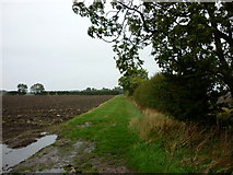 TA2035 : A farm track off Pasture Lane by Ian S