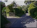 Woodman Lane in Sparsholt looking north