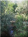 Haltwhistle Burn at Townfoot