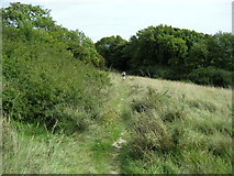 TR2038 : North Downs Way approaching Castle Hill by Chris Heaton