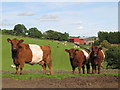 NY7264 : Dun Belties near Low House by Mike Quinn