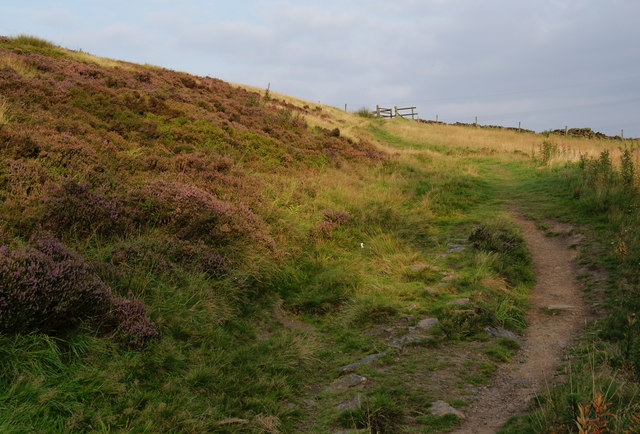 Path round the hilltop © Bill Boaden cc-by-sa/2.0 :: Geograph Britain ...