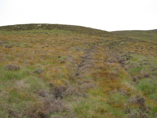 Stalker's path up the NE ridge of Ben Alisky