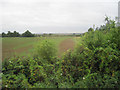 Agricultural land just to east of Abbotts Farm