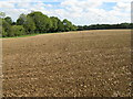 Recently cultivated field east of Lambels Copse