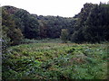 The valley of the Alun in St David