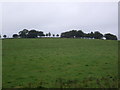 Farmland near Damfolds