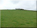 Farmland near Wood of Shaws