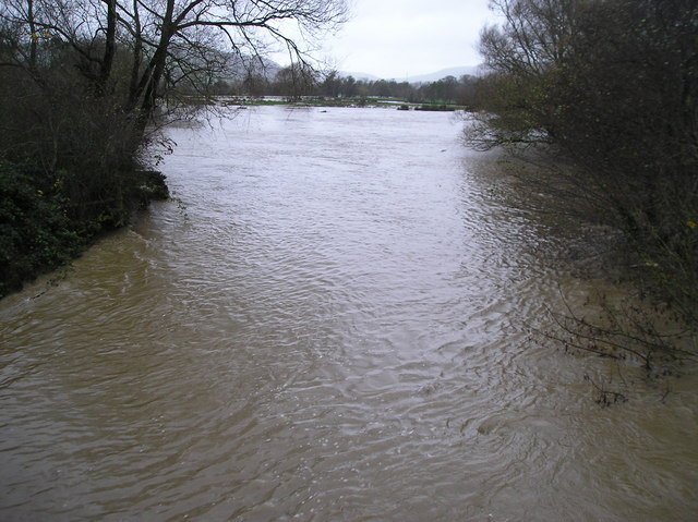 Afon Carno in flood