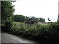 Combine harvester in Rape Seed field