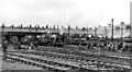 Polmadie Locomotive Depot, Glasgow