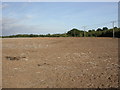 Walkford, stubble field